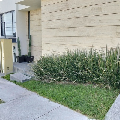 Mejora de espacio verde en fachada residencial (antes)