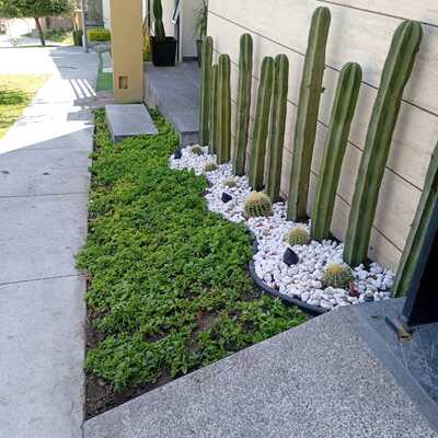 Mejora de espacio verde en fachada residencial (después)