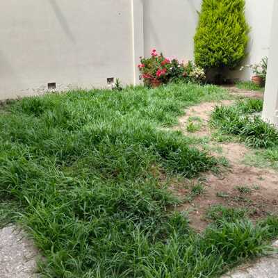 Área verde en casa residencial (antes)