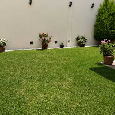 Área verde en casa residencial (después)