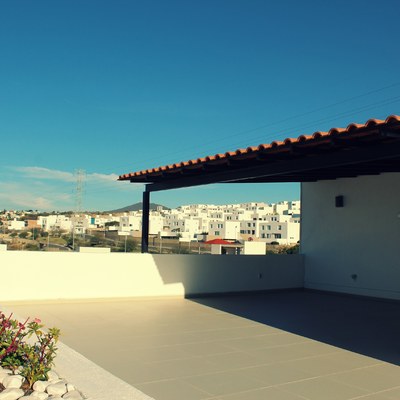 Roof garden