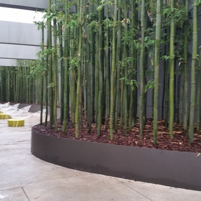 Membrana para jardinera