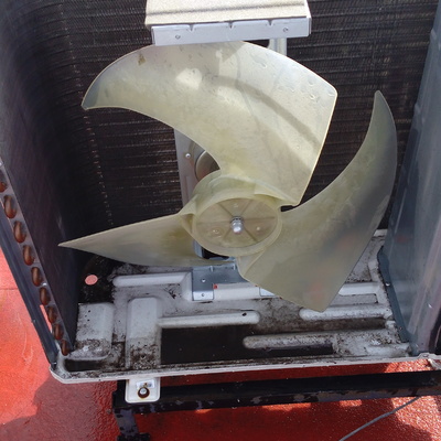 Reporte Técnico y fotográfico