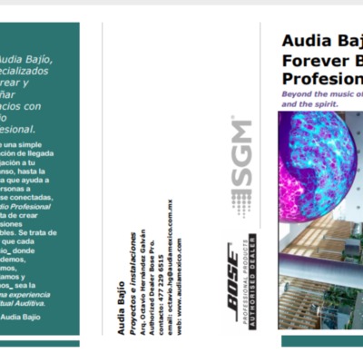 TRIPTICO AUDIA INGENIERIA