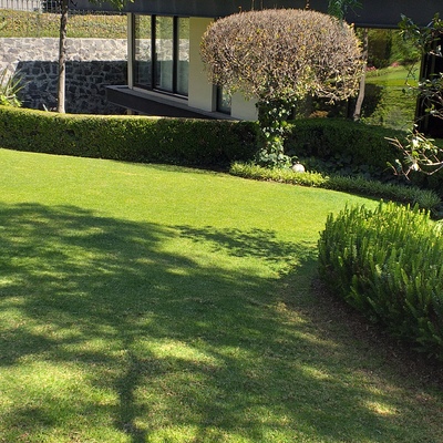 Jardineria y paisajismo