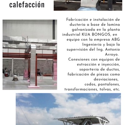 Portafolio Profesional