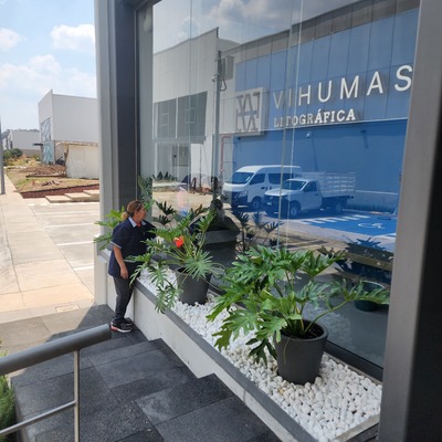 Limpieza de cristales