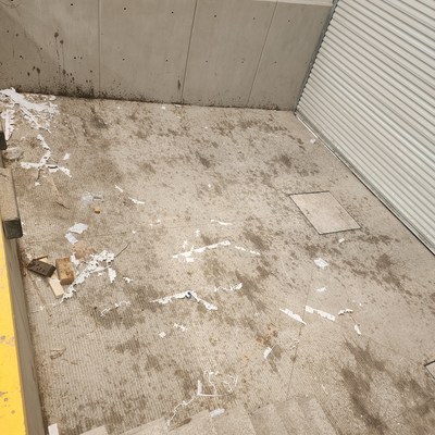 Área antes de limpieza.