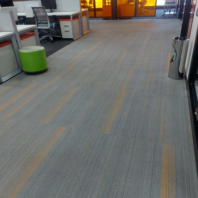 Limpieza de alfombra
