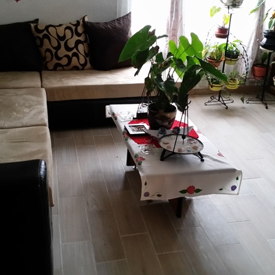 Remodelacion Arquitekus