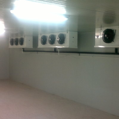 INTERIOR CAMARA DE REFRIGERACION