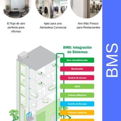 BMS