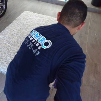 LAVADO Y DESINFECCION DE TAPETES