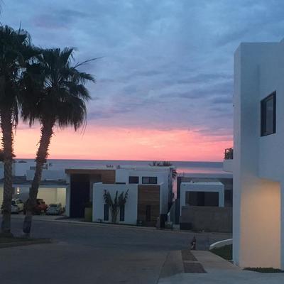 ARRECIFE