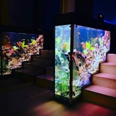 ACUARIO CD MEXICO