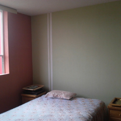 APLICACION DE PASTAS GRANULADAS