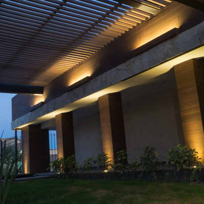 Celosia Campestre Torreón