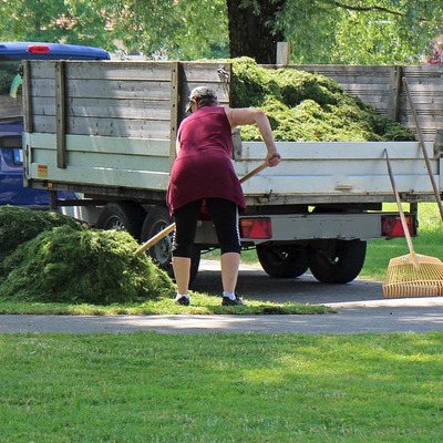 trabajos de jardinería