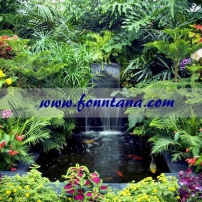 Estanques de agua