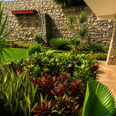 Diseño y paisajismo tropical para área residencial de lujo