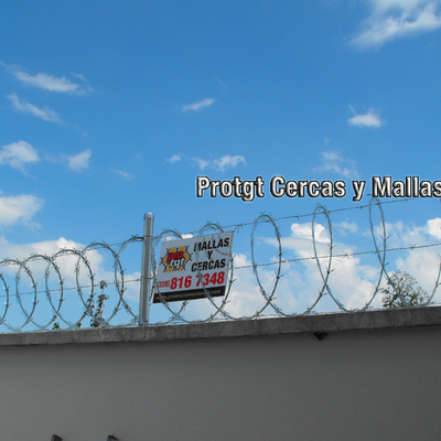 CONCERTINA, ESPIRAL DE NAVAJAS XALAPA