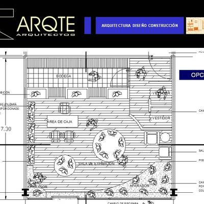 CONSTRUCCIÓN Y PROYECTO EJECUTIVO