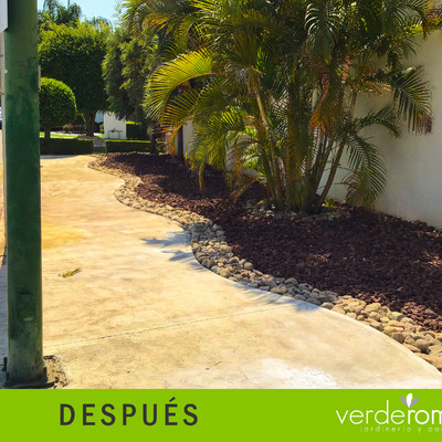 Proyecto Los Naranjos