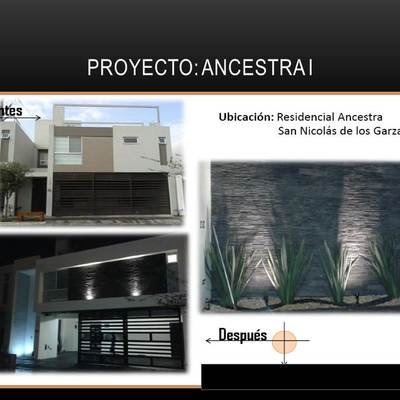 ANCESTRA II