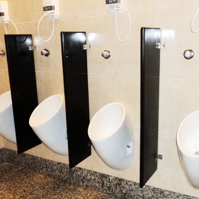 Sanitarios ecológicos