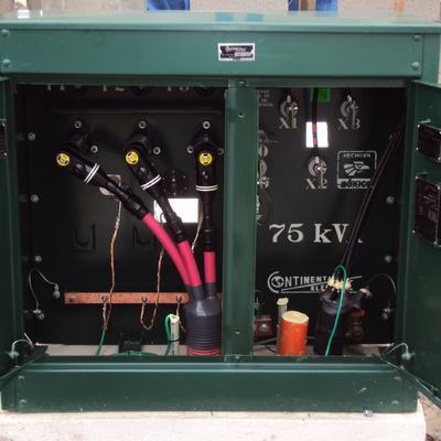 SUBESTACIÓN ELECTRICA TIPO PEDESTAL