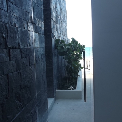 Hotel Gran Hyatt Playa Del Carmen