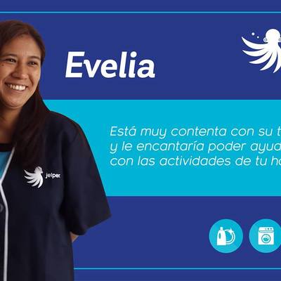 Los profesionales de la limpieza doméstica