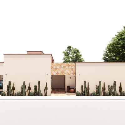 Remodelación Completa en Coyoacán
