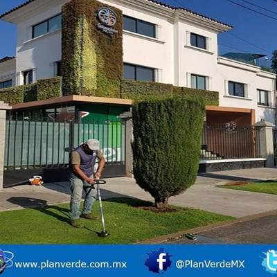 Poda de césped en casa heineken