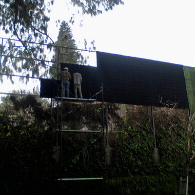 Muro verde