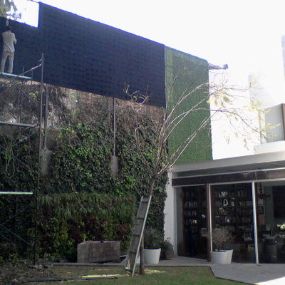 Muro verde