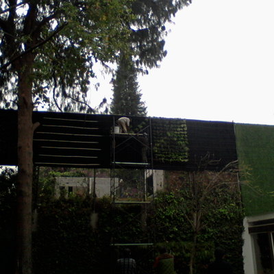 Muro verde
