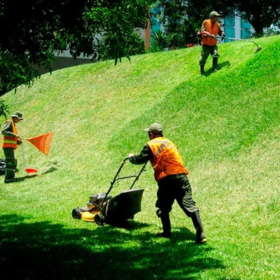 MANTENIMIENTO DE ÁREAS VERDES