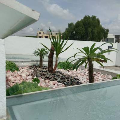 Diseño y elaboración de jardinera