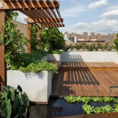 Roofgarden