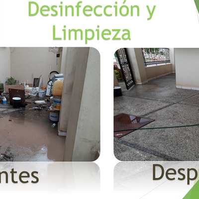 Desinfeccion