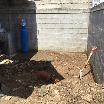 Preparación de terreno