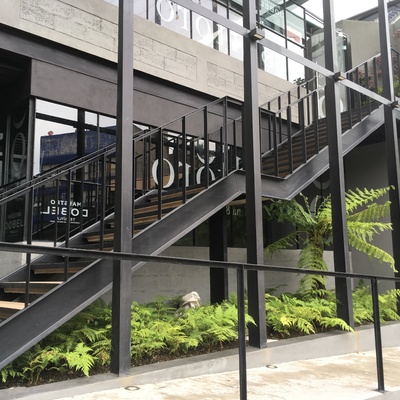 Bosque de helechos bajo las escaleras