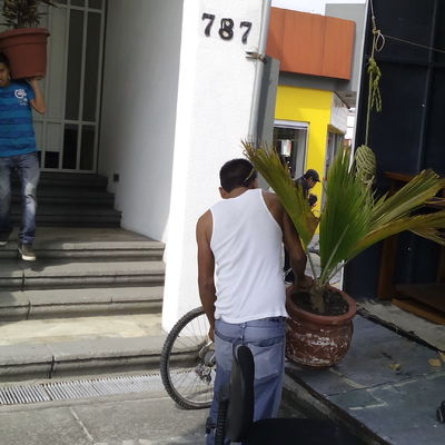 Servicios de Mudanza Residencial- Ejemplo7