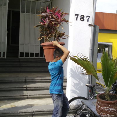 Servicios de Mudanza Residencial- Ejemplo8