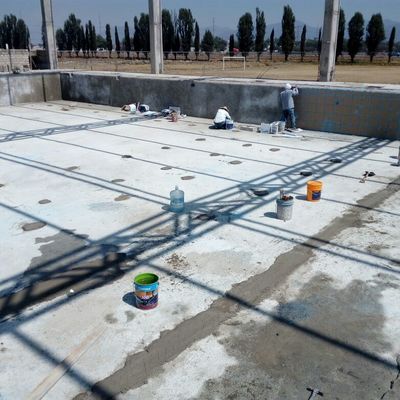 ALBERCA SEMIOLIMPICA EN SAN MATEO ATENC