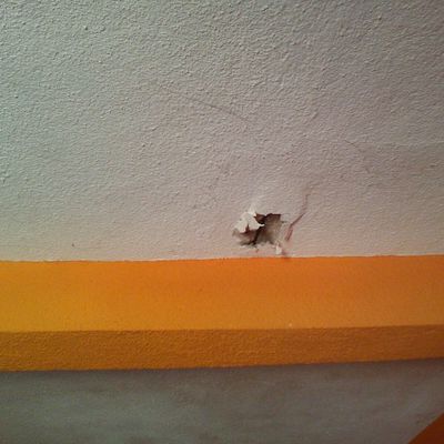 reparacion de plafon