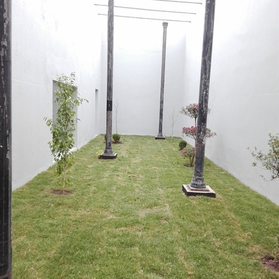 Jardines tienda Coppel El Molinito