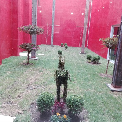 Jardines tienda Coppel El Molinito