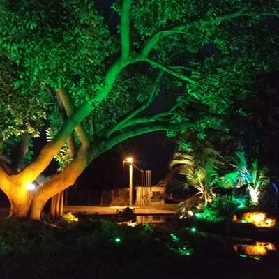 Instalación de Luminarias Led RGB en Jardín